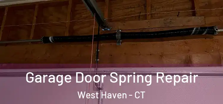  Garage Door Spring Repair West Haven - CT